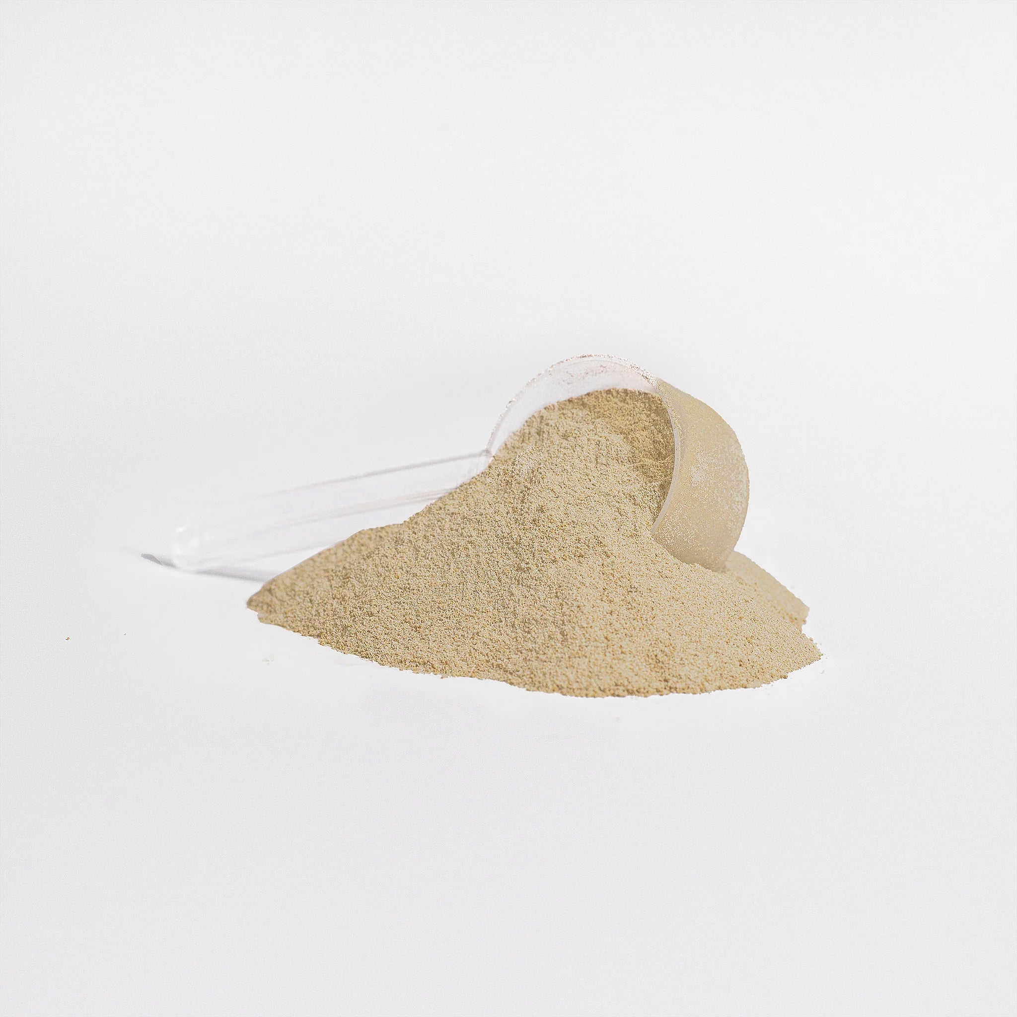 Vanilla Plant-Based Protein Powder, 850g - Gluten Free