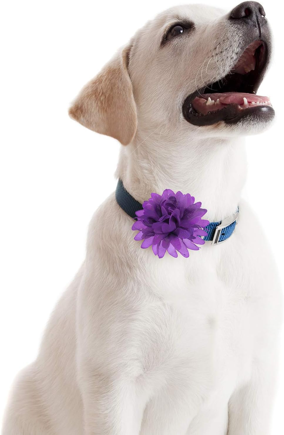 20-Piece Set of 4.7-Inch Multicolored Dog Collar Flower Bow Charms for Pet Grooming Accessories