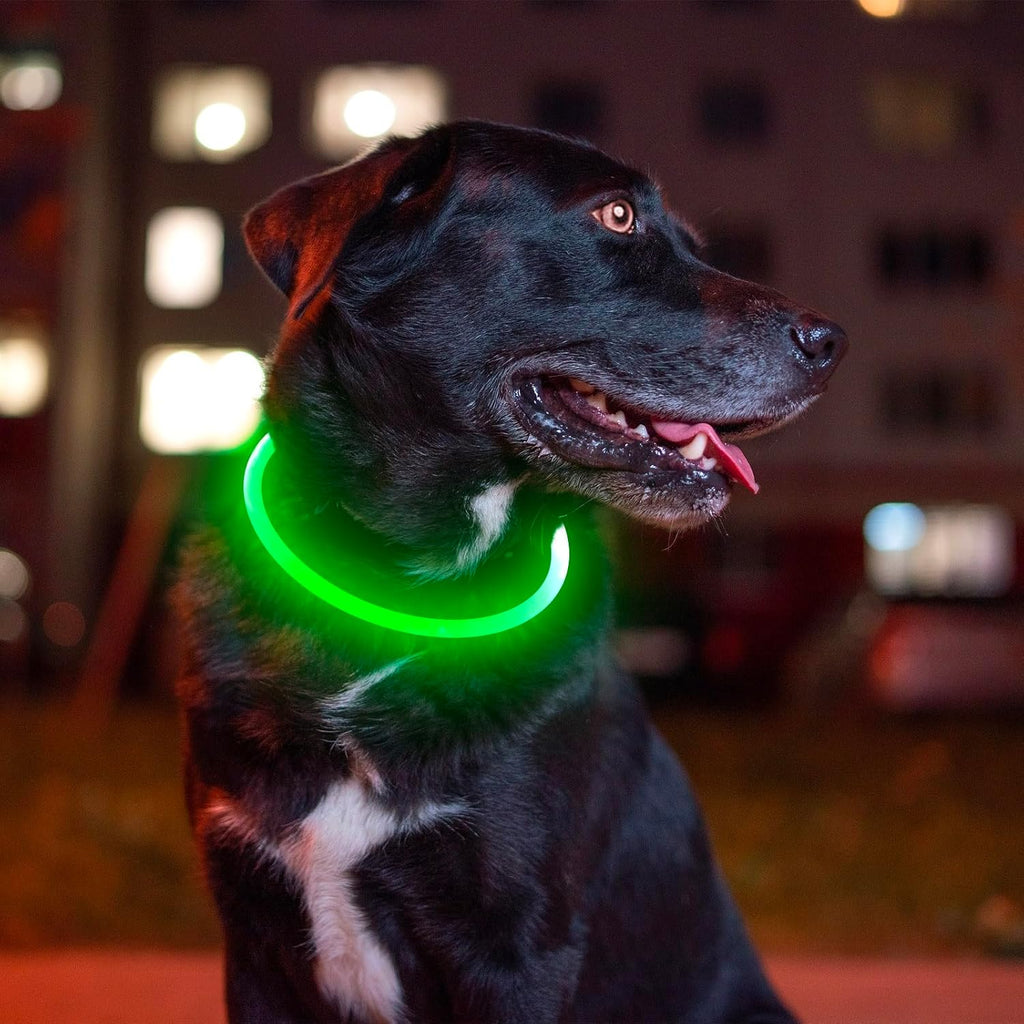 Glow Up Your Pup! 🌟 Rechargeable LED Dog Collar for Nighttime Safety - Perfect for All Sizes! 🐾💚